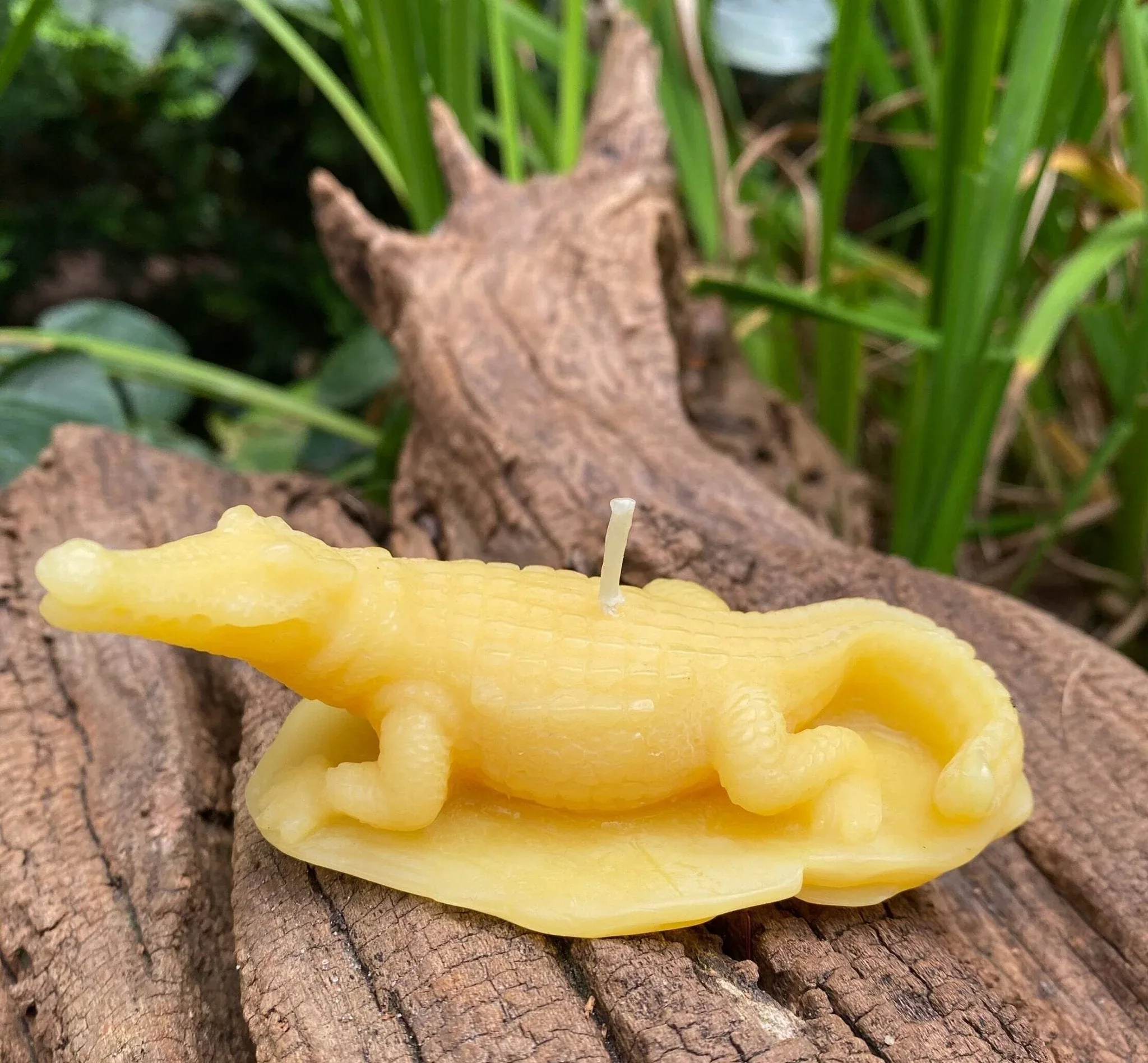 Crocodile Beeswax Candle - Image 2