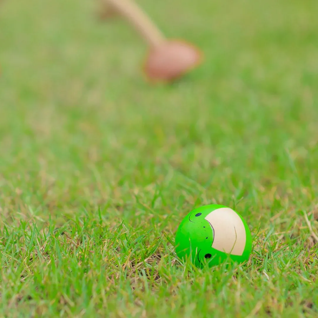 Croquet - Image 4