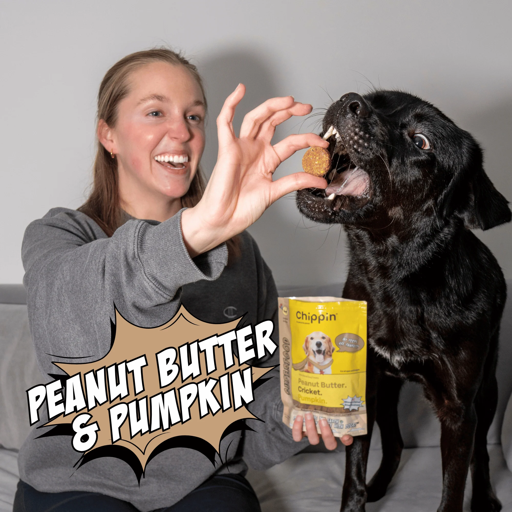 Crunchy Dog Biscuit Bundle, 4-Pack - Image 2