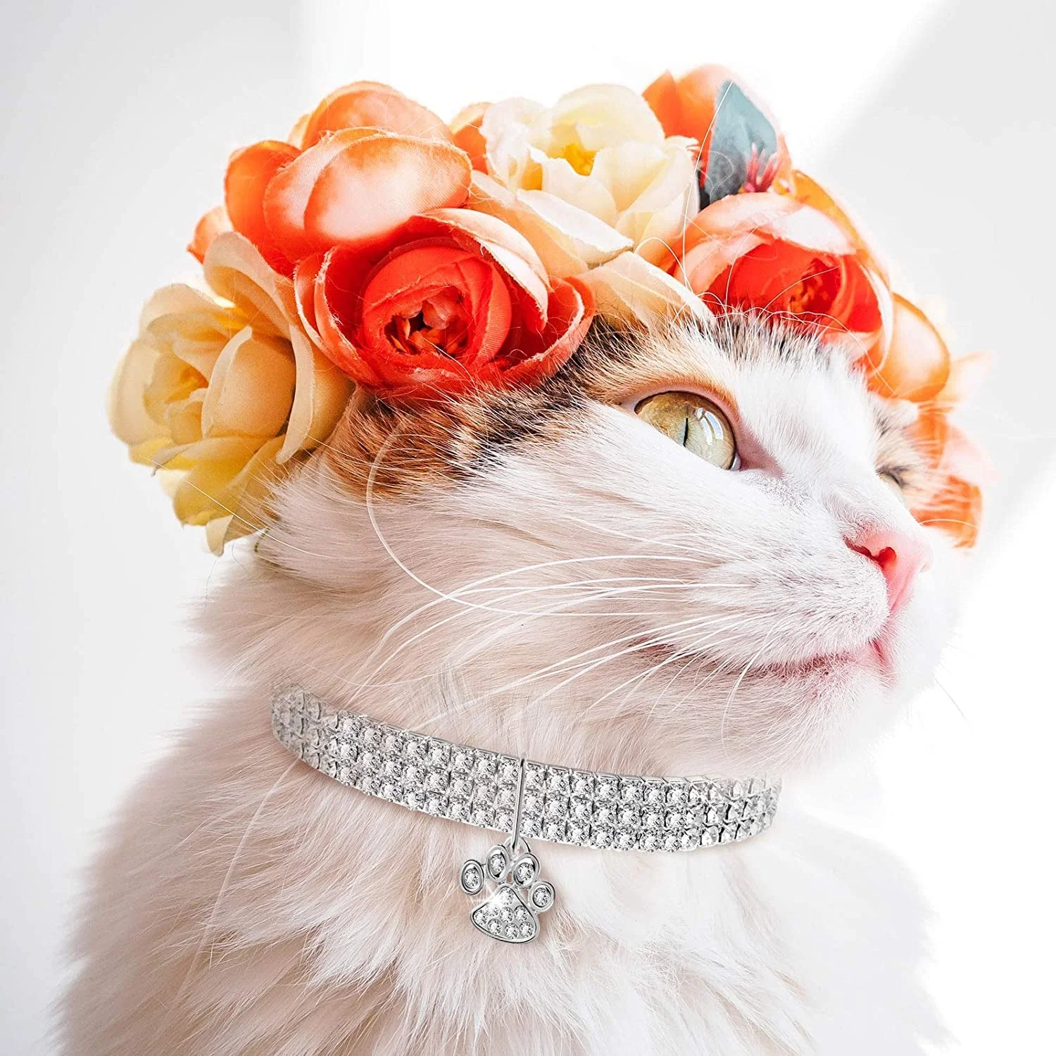 Crystal Cat Collar Elastic Pet Necklace - Image 6