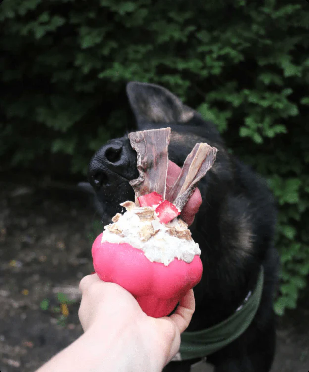 Cupcake eDispenser - Durable Rubber Chew Toy & Treat Dispenser | USA Made - Image 5