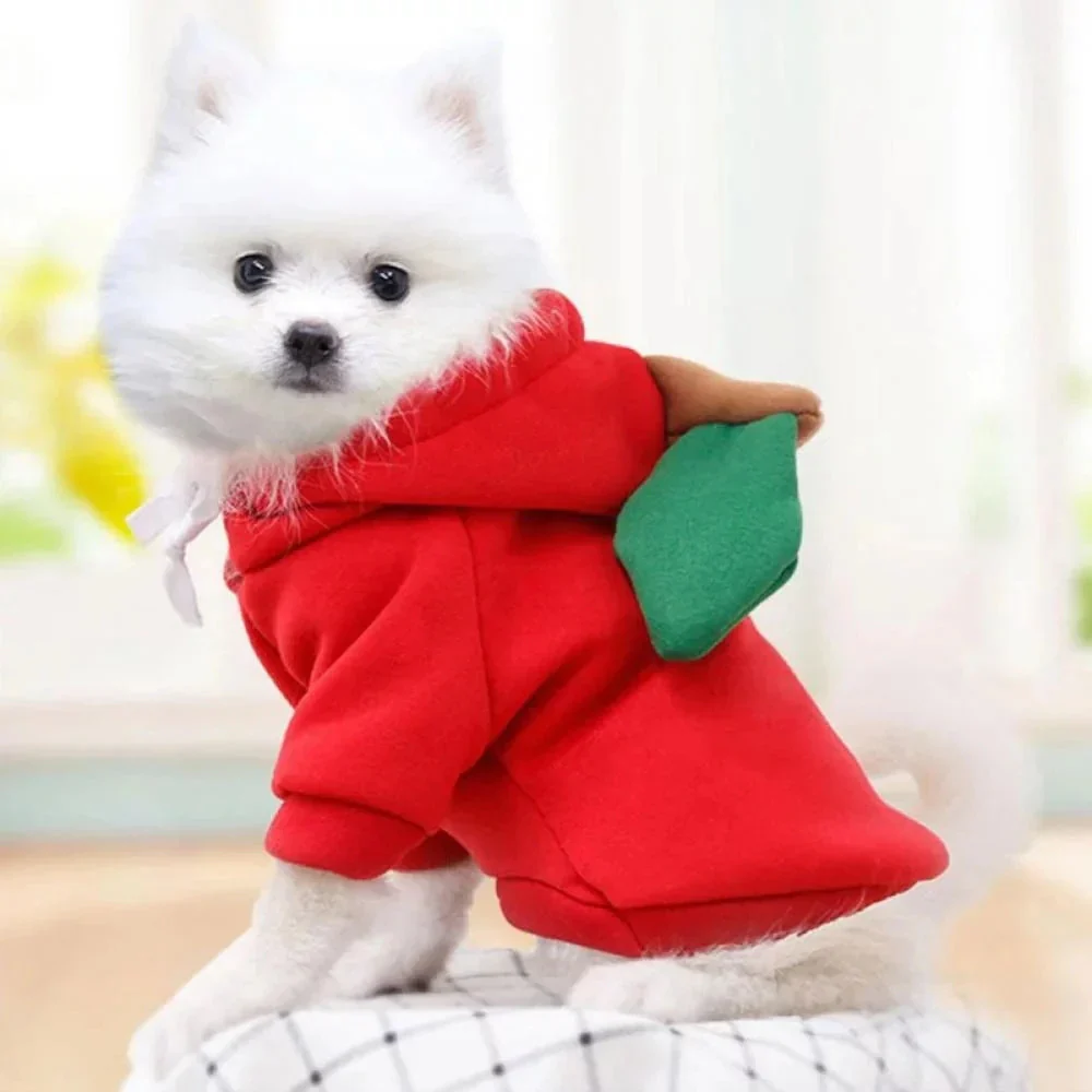 Cute Dog Hoodie with Hat - Funny Pet Fruit Costume for Halloween & Daily Wear - Image 2