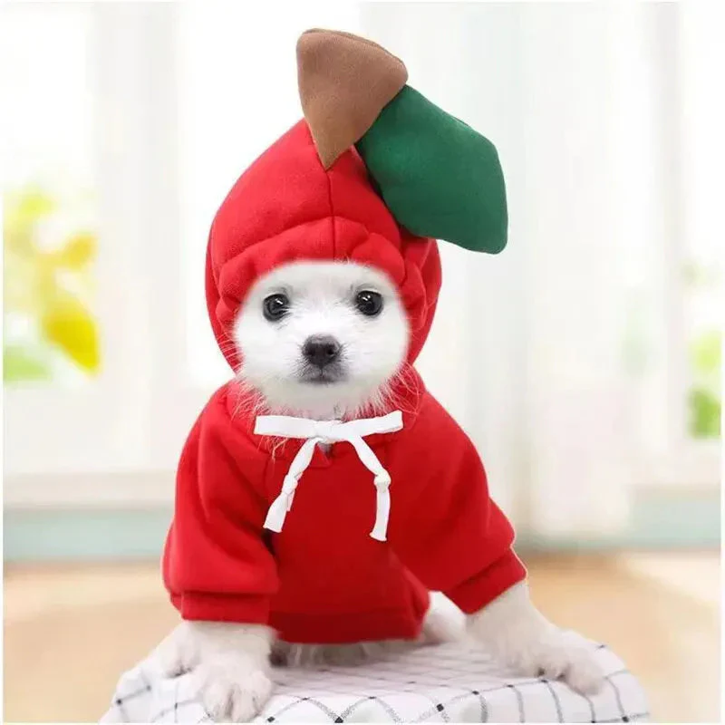 Cute Dog Hoodie with Hat - Funny Pet Fruit Costume for Halloween & Daily Wear - Image 9