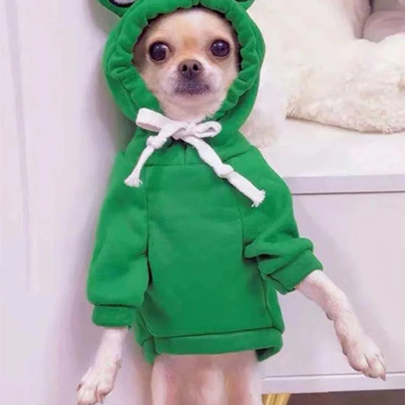 Cute Frog Pet Sweater – Green Hoodie for Small & Medium Dogs - Image 6