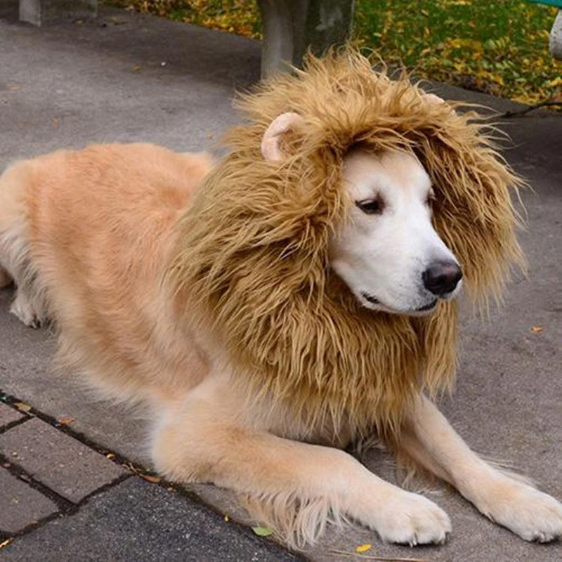 Cute Pet Cosplay Lion Mane Costume - Image 3