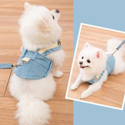 Cute Pet Dog Harness Leash Set - Image 4