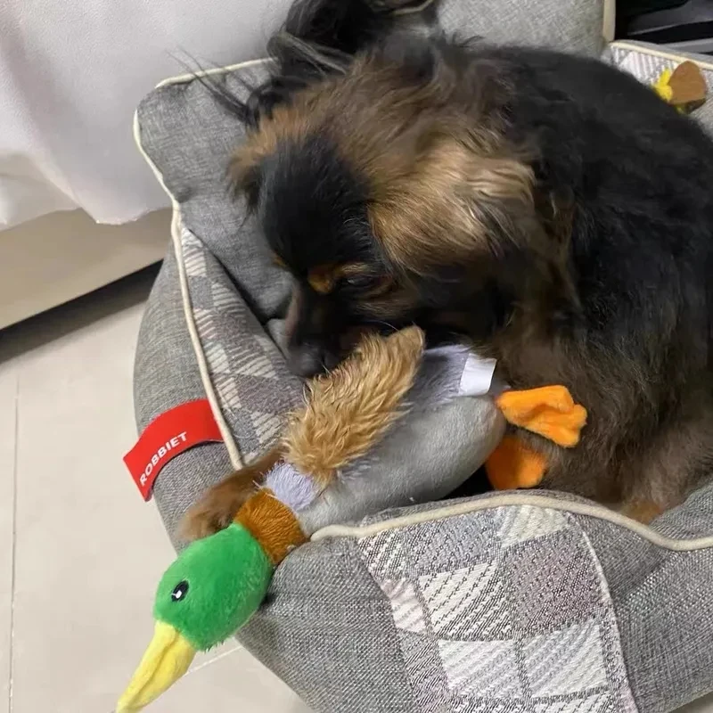 Cute Plush Duck Dog Squeaky Toy – Interactive Chew for Small & Medium Dogs - Image 3