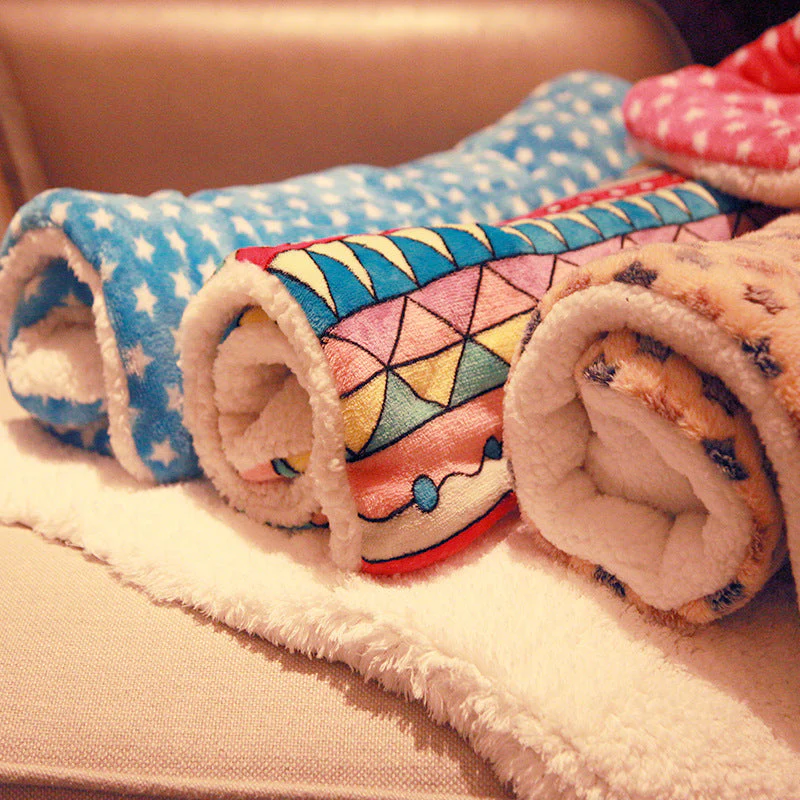 Cute Printed Pet Blankets Mats - Image 2