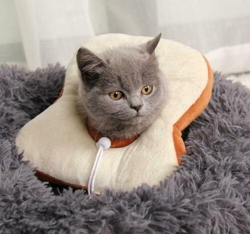 Cute Soft Cat Recovery Neck Collar - Image 2