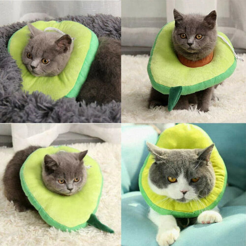 Cute Soft Cat Recovery Neck Collar - Image 5