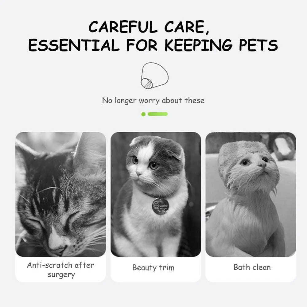 Cute Soft Cat Recovery Neck Collar - Image 6