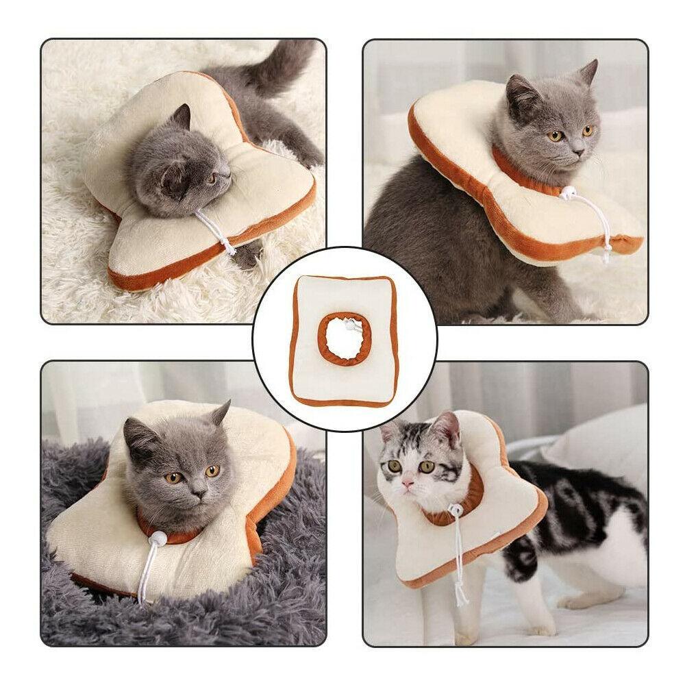 Cute Soft Cat Recovery Neck Collar - Image 7