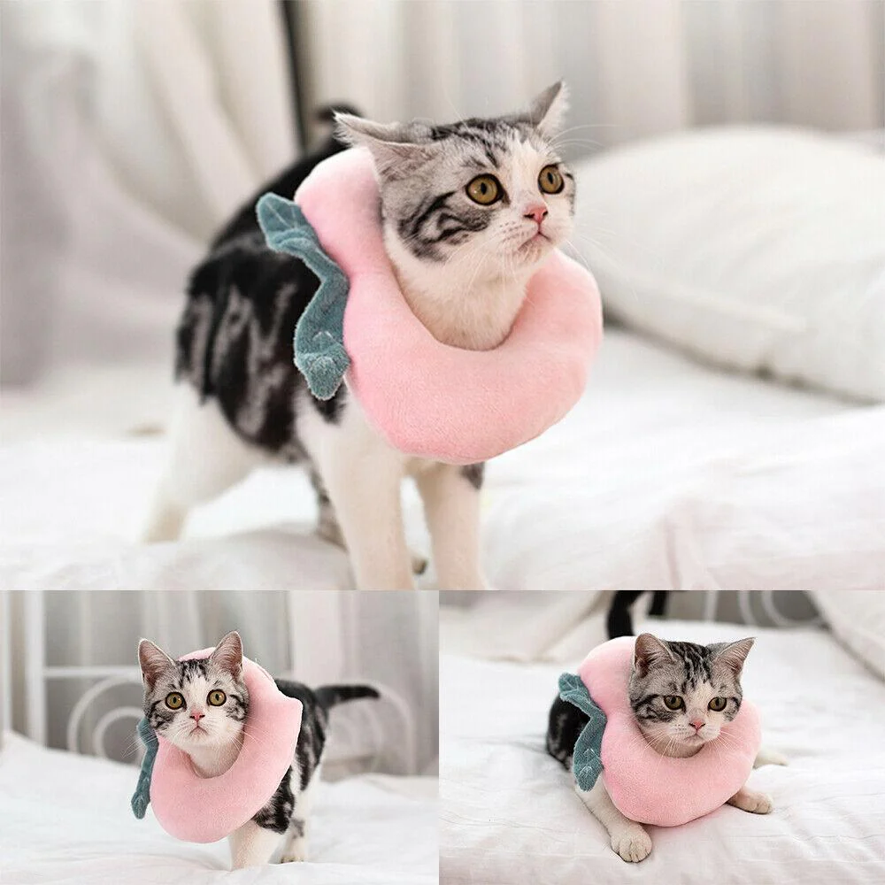 Cute Soft Cat Recovery Neck Collar - Image 9