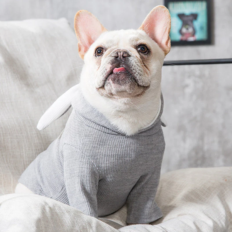 Cute Warm Hooded Dog Clothes - Image 4
