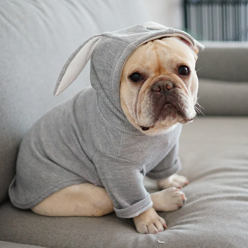 Cute Warm Hooded Dog Clothes - Image 5