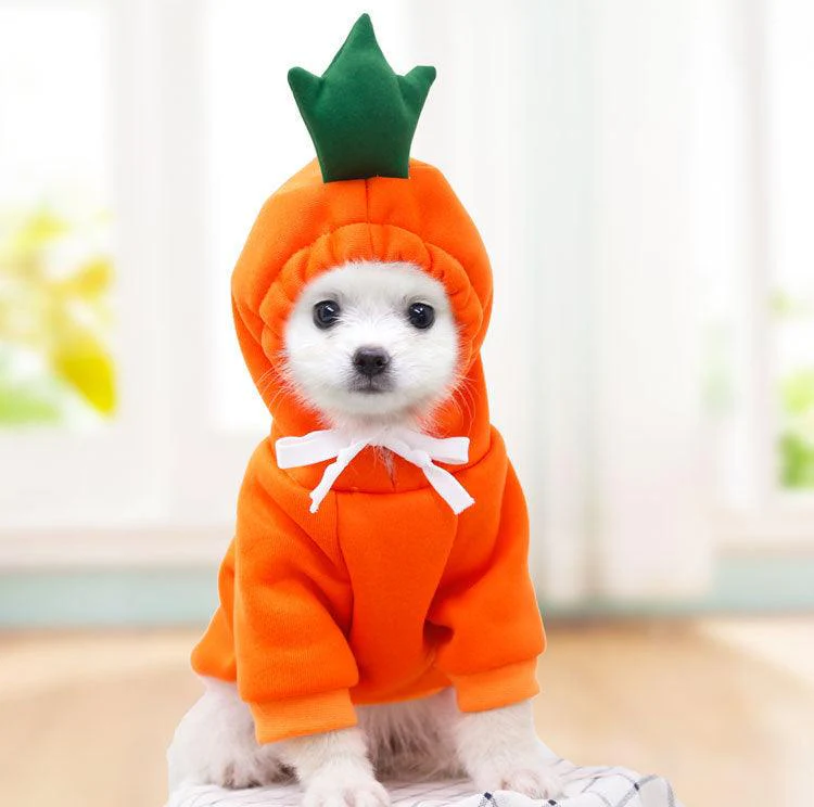 Cute Warm Small Dog Hoodies - Image 11