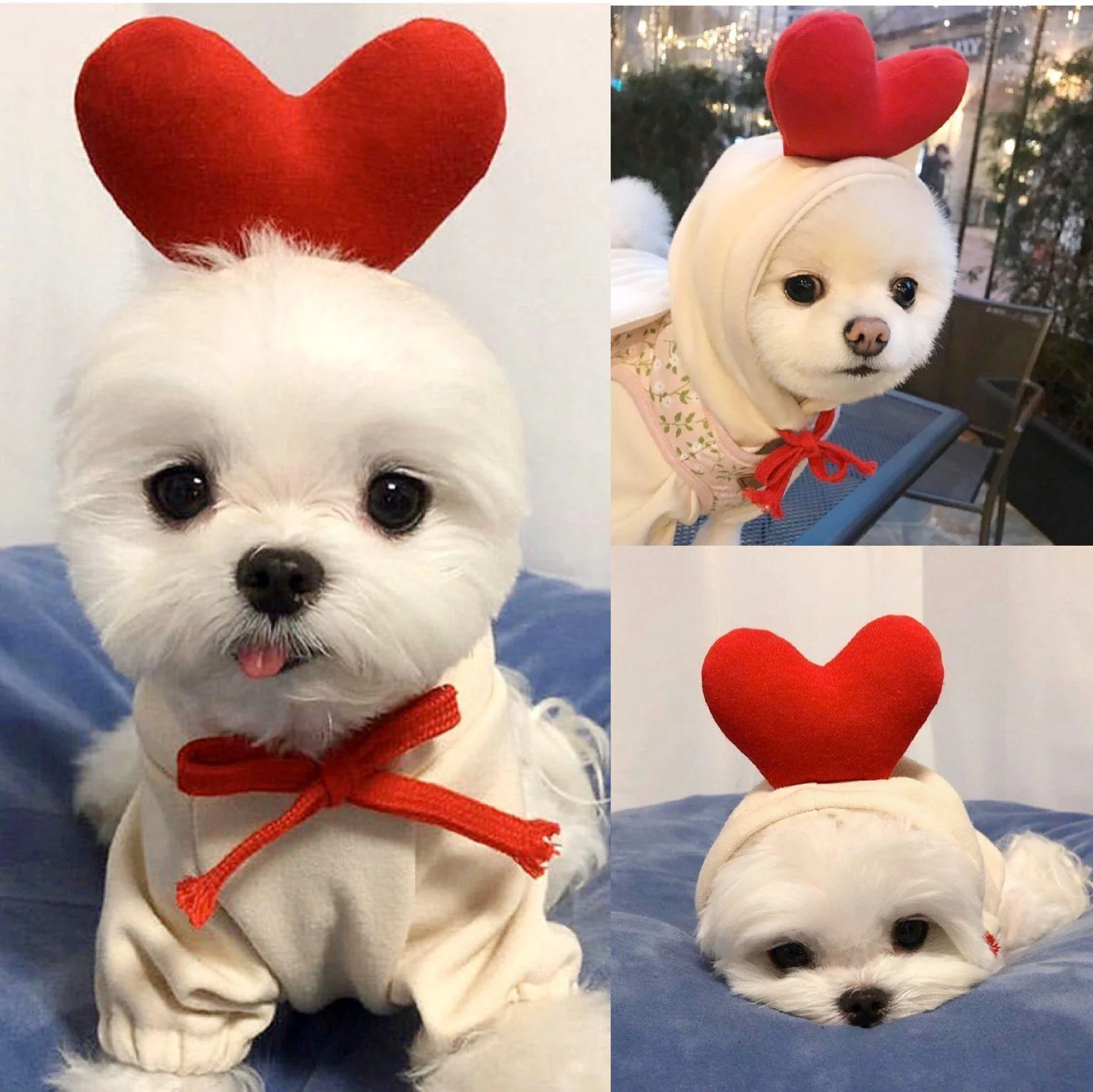 Cute Warm Small Dog Hoodies - Image 2