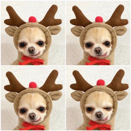 Cute Warm Small Dog Hoodies - Image 6