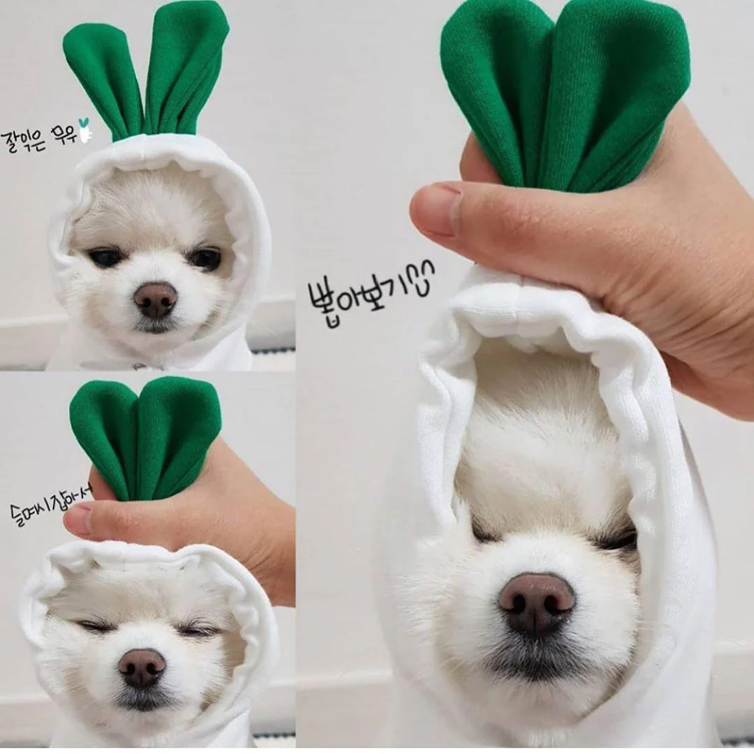 Cute Warm Small Dog Hoodies - Image 8