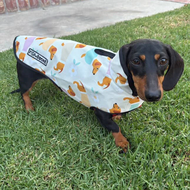 Dachshunds & Daisies Dog Coat - Image 2