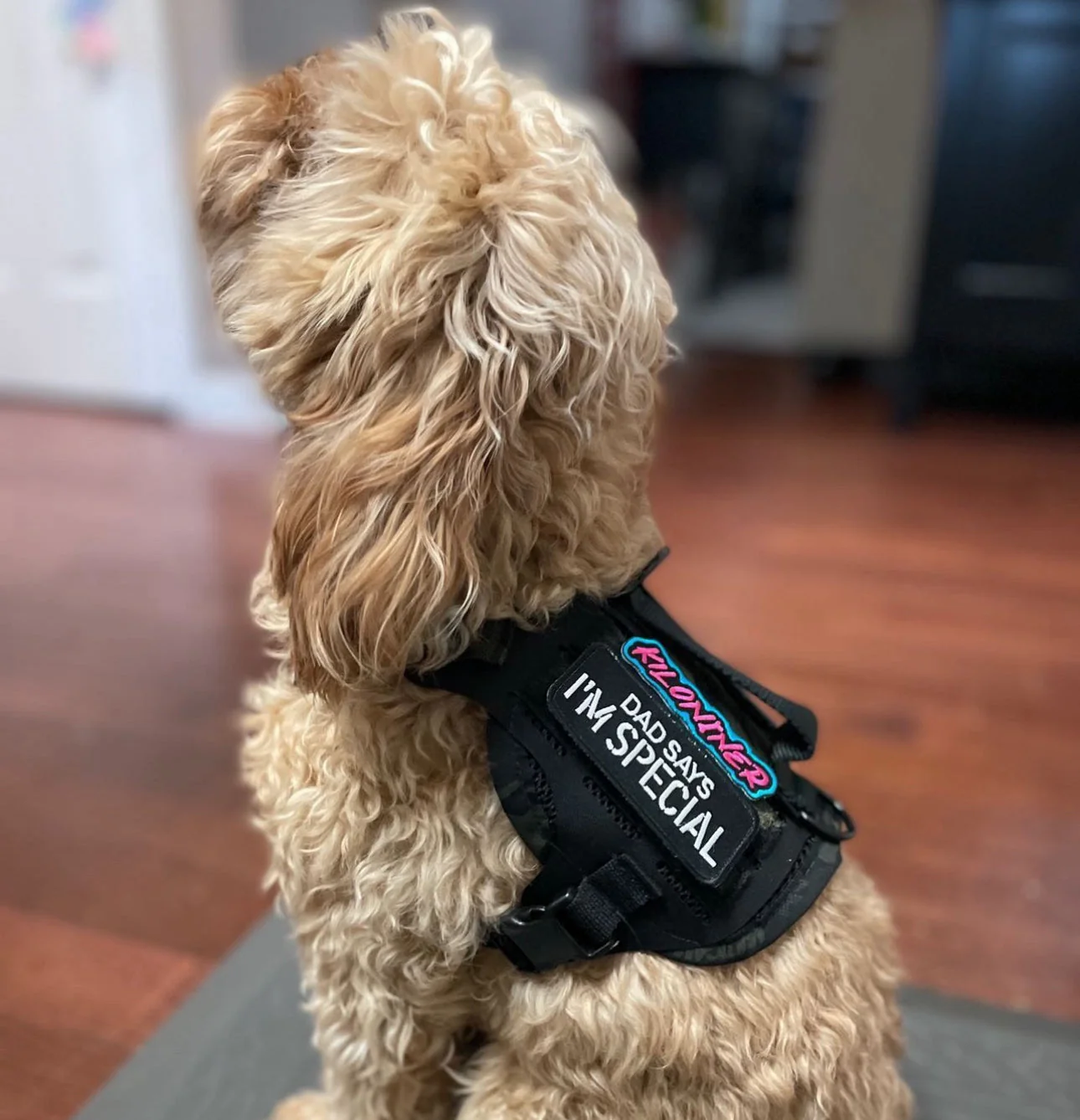 DAD SAYS I’M SPECIAL Morale Patch - Image 4