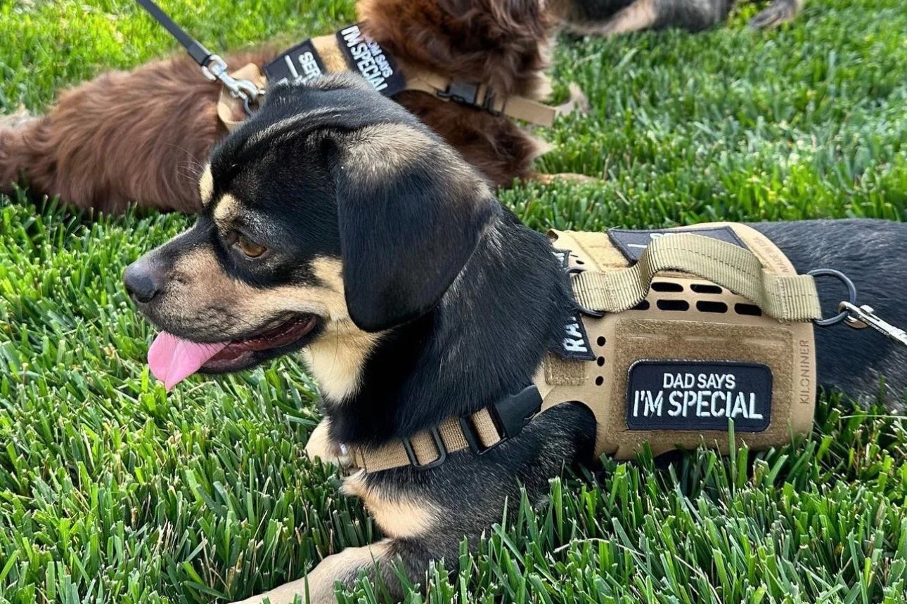 DAD SAYS I’M SPECIAL Morale Patch - Image 5