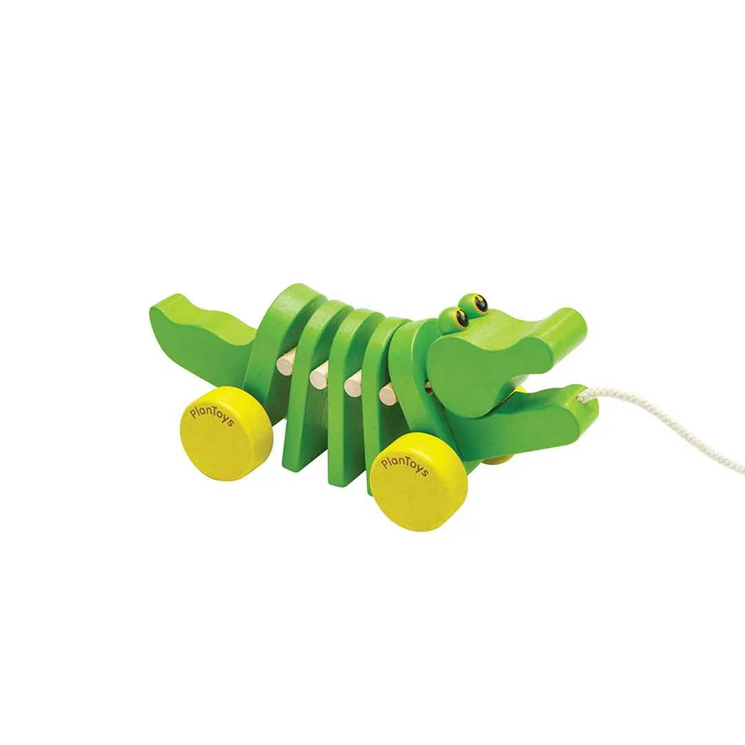 Dancing Alligator - Image 8