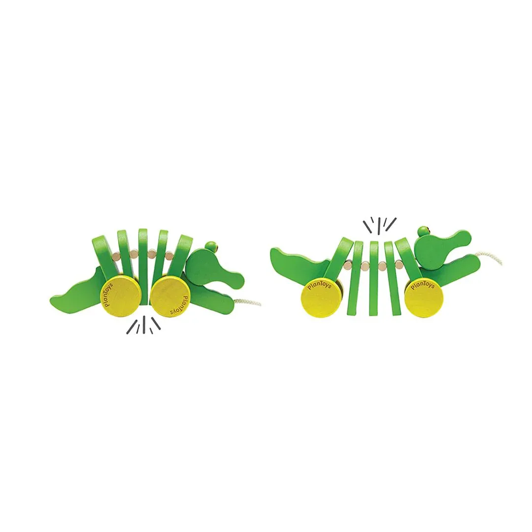 Dancing Alligator - Image 9