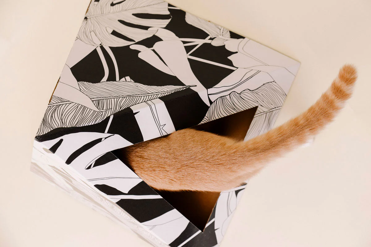 'Dark Paradise' Cardboard Cat Pyramid - Image 7