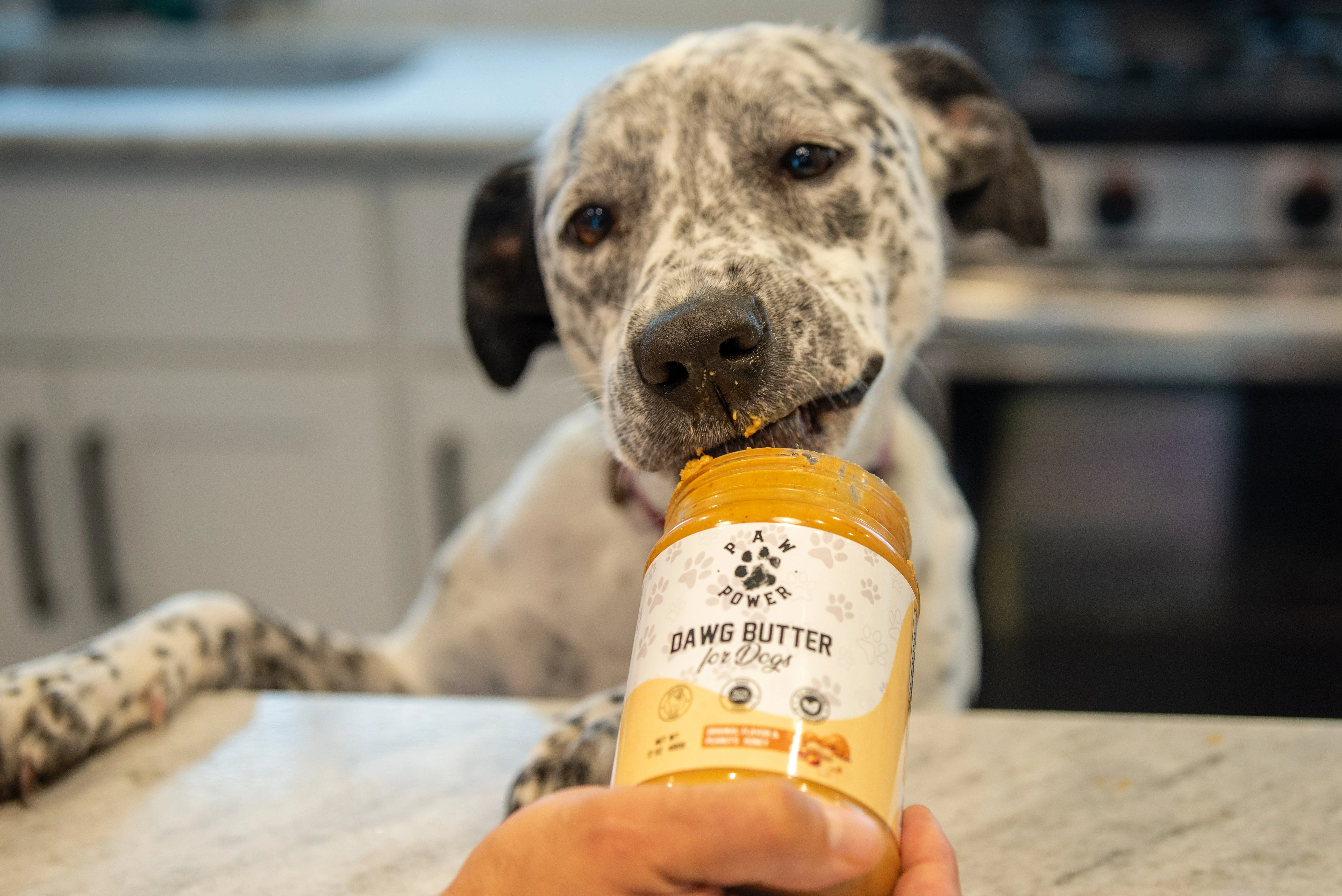 Dawg Butter Original Flavor - Image 5