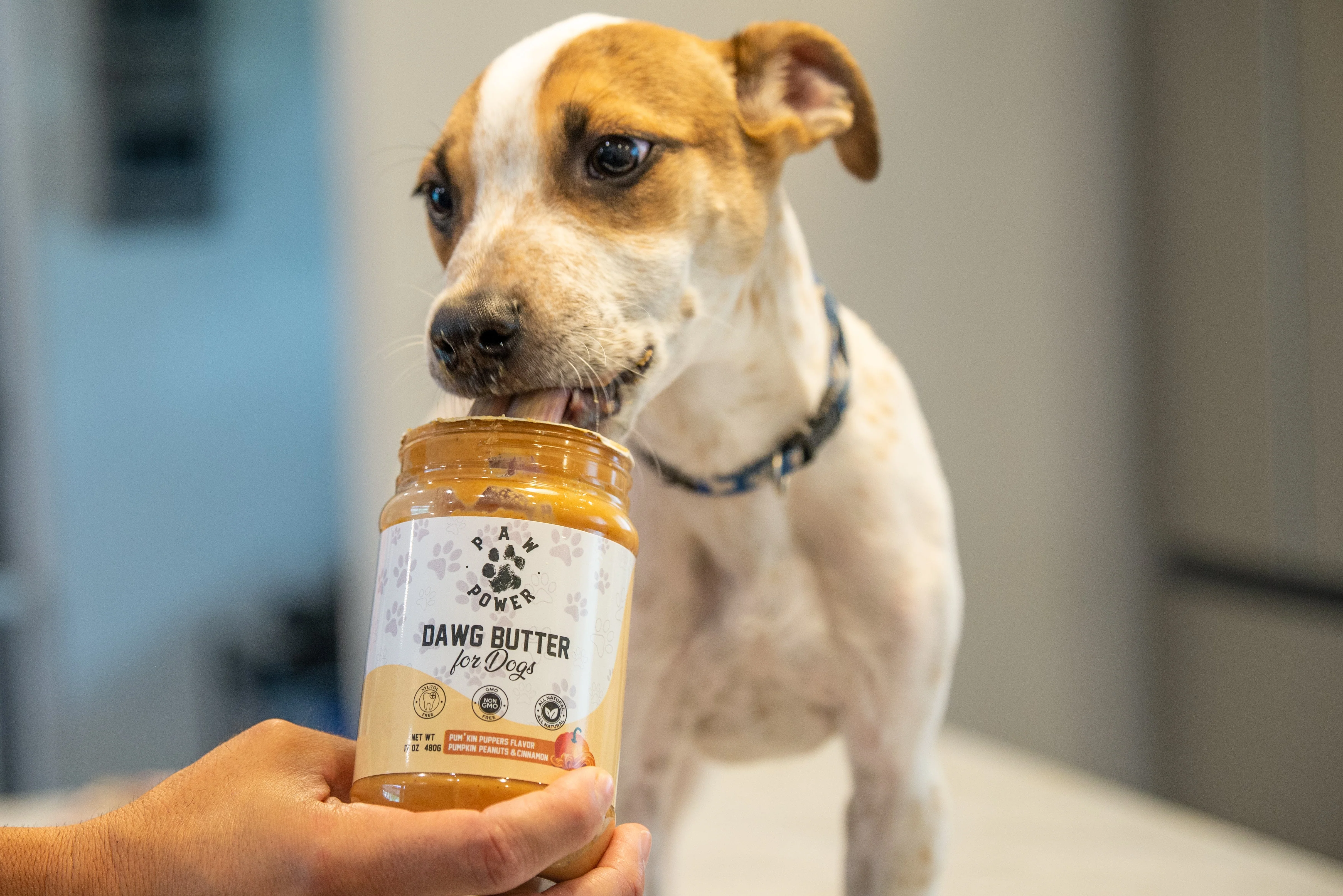 Dawg Butter Pum'kin Puppers Flavor - Image 9