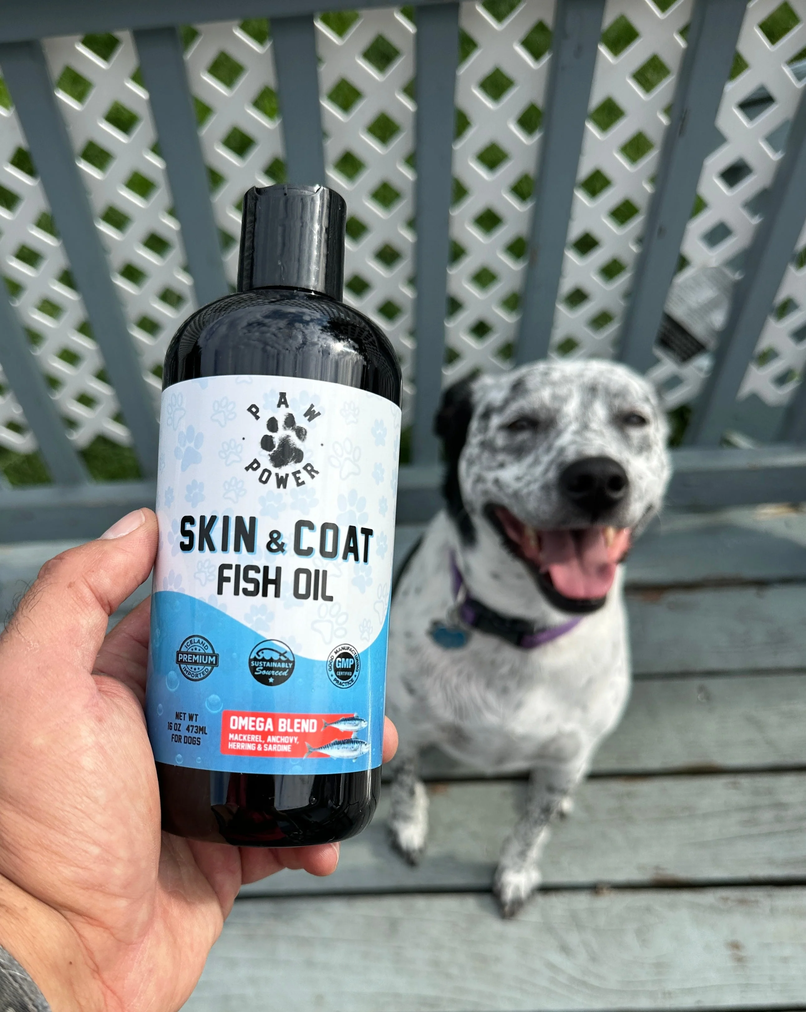 Dawg Health Skin & Coat - Image 2