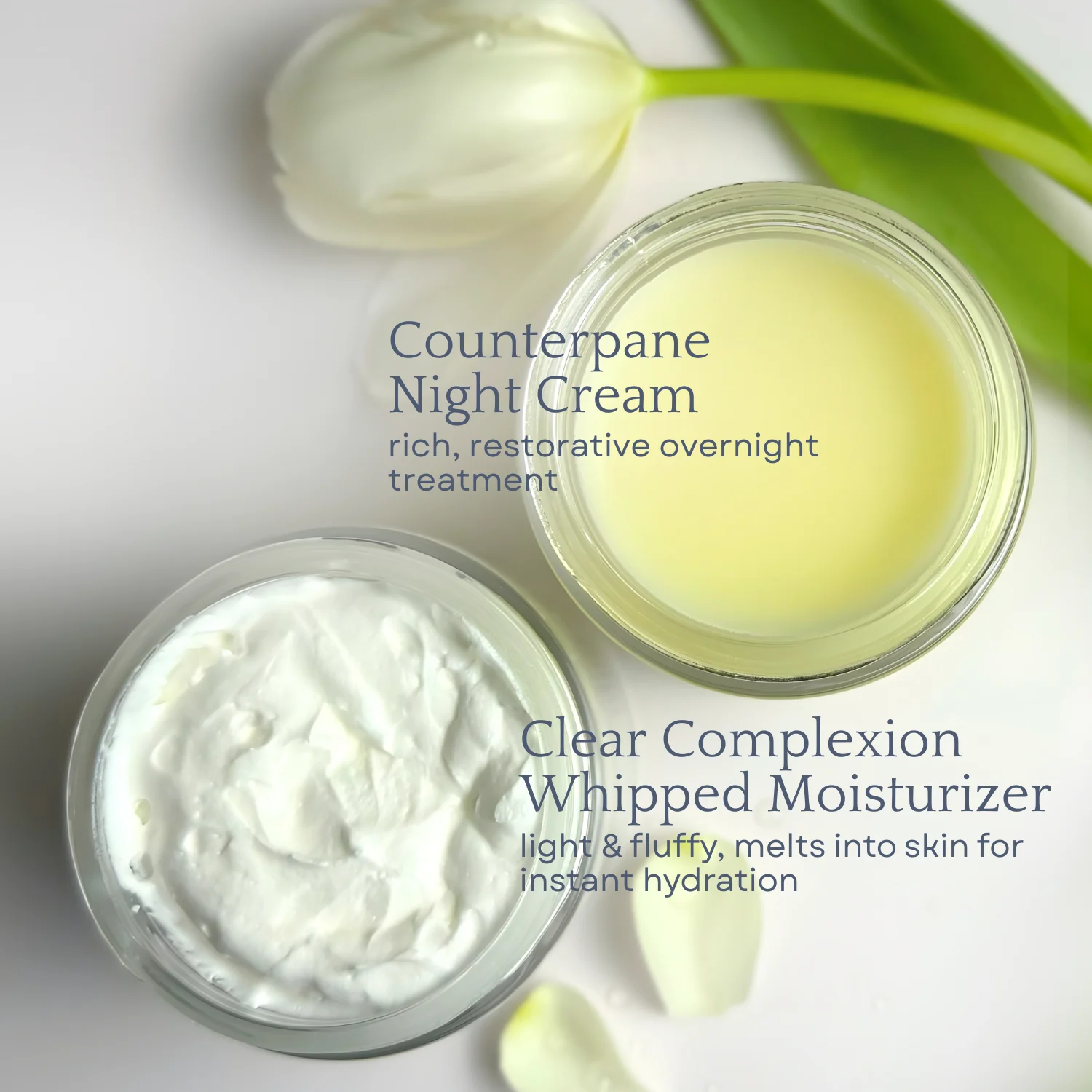 Day & Night Face Moisturizer Duo - Image 3