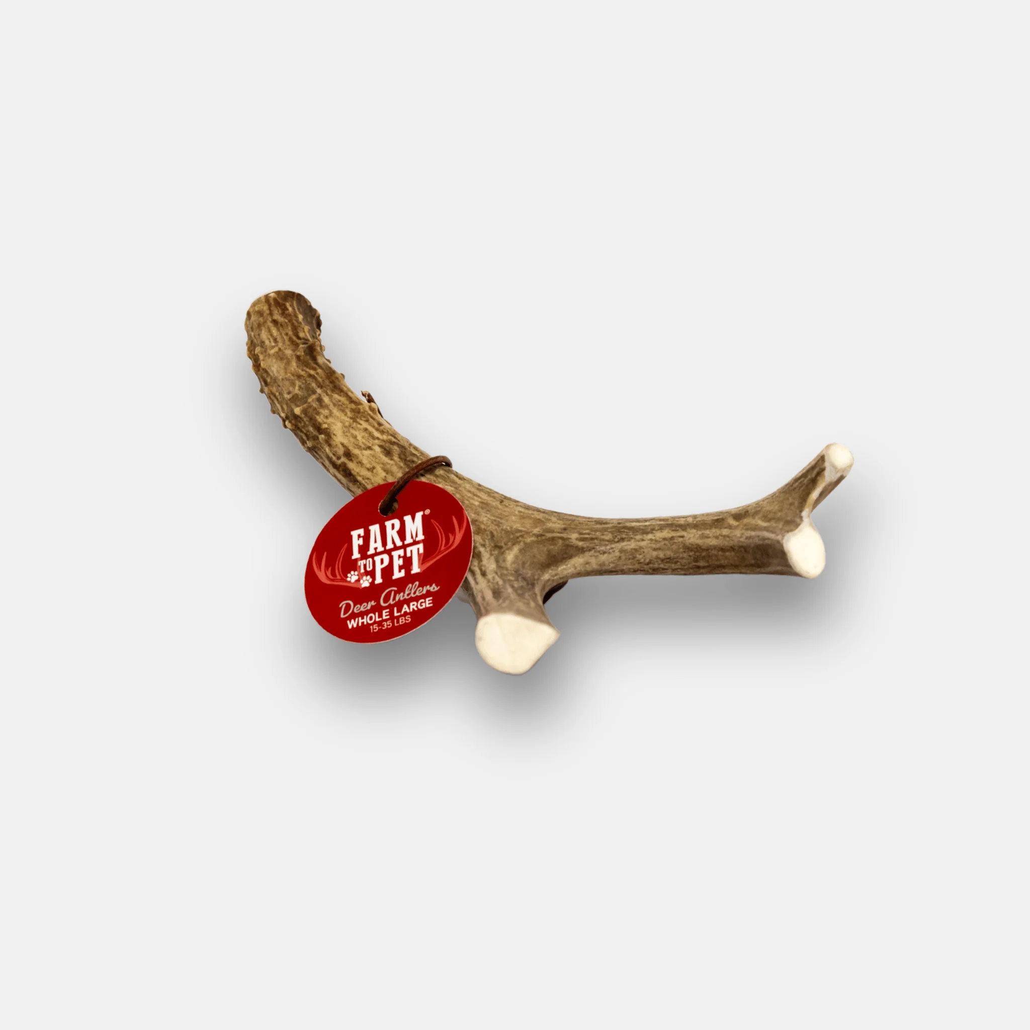 Deer Antler Dog Chews | Organic Chews for Dogs - Image 10