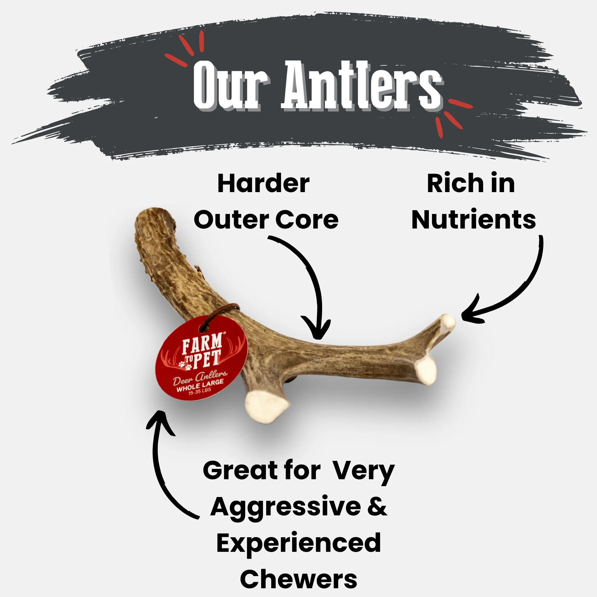 Deer Antler Dog Chews | Organic Chews for Dogs - Image 11