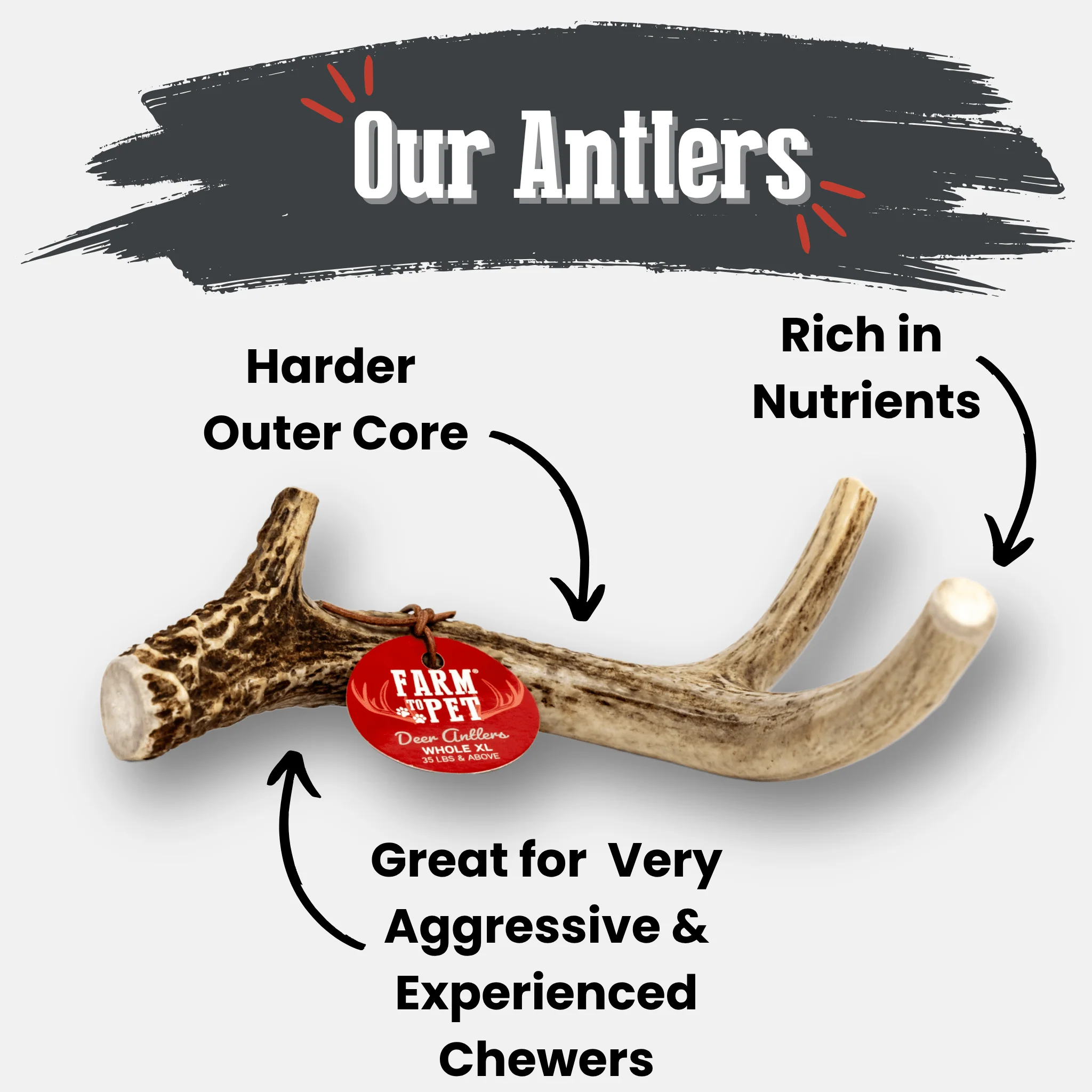 Deer Antler Dog Chews | Organic Chews for Dogs - Image 18