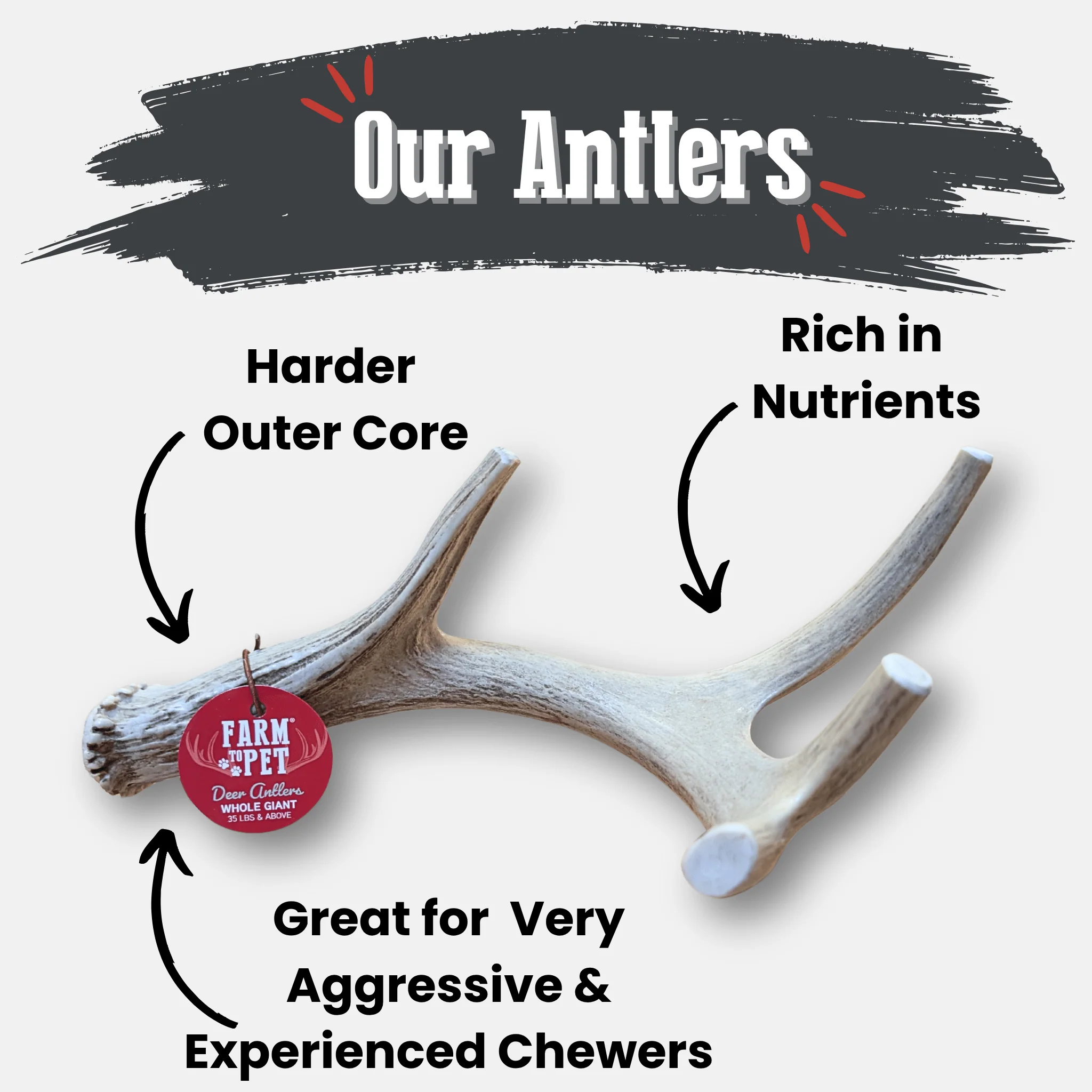 Deer Antler Dog Chews | Organic Chews for Dogs - Image 2