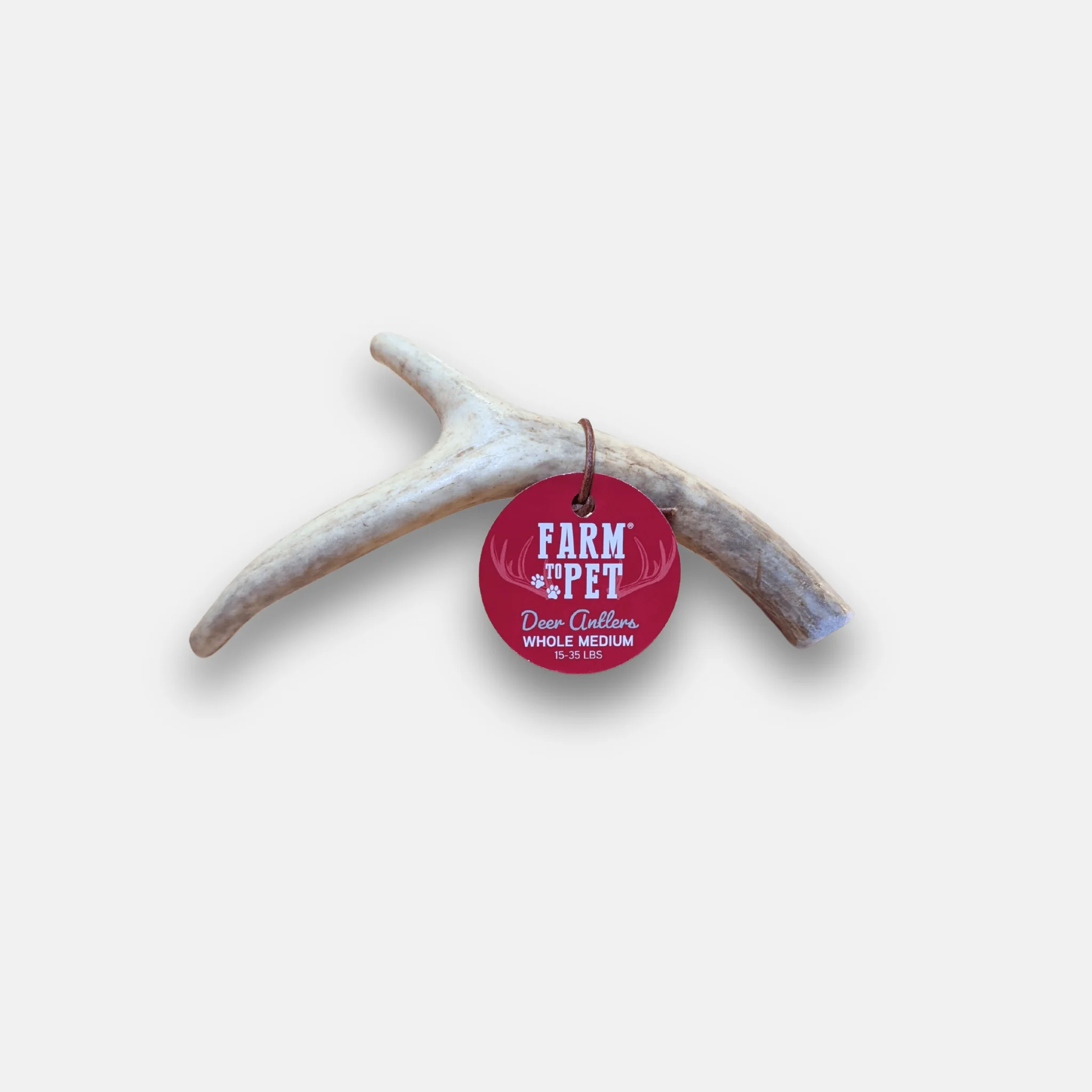 Deer Antler Dog Chews | Organic Chews for Dogs - Image 3