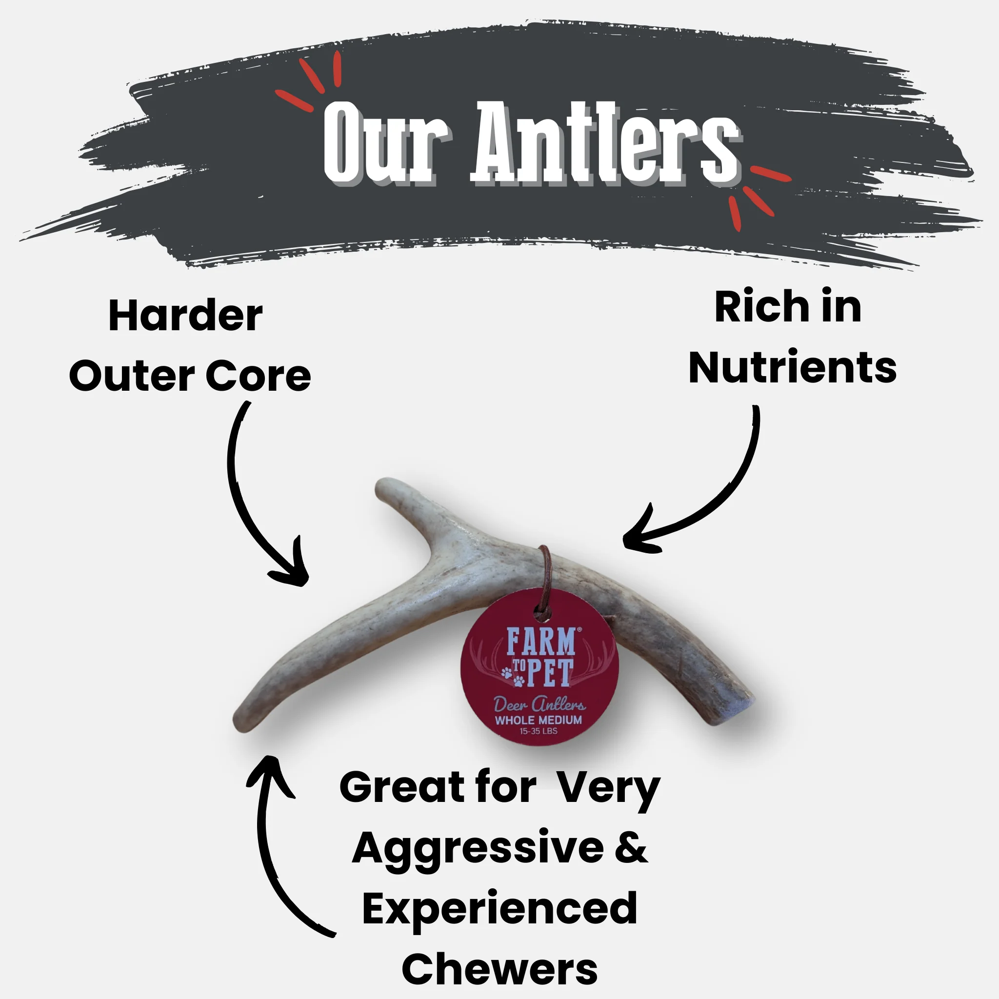Deer Antler Dog Chews | Organic Chews for Dogs - Image 4