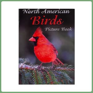Dementia Puzzle 24 Large Pieces Jigsaw – Garden Birds - Image 6