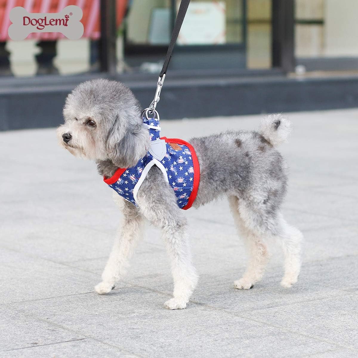 Denim Dog Harness with Star Print & Secure Buckle - Image 9