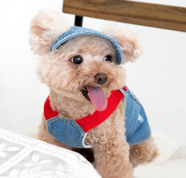 Denim Dog Overalls with Matching Hat - Adorable and Comfortable Pet Outfit - Image 10