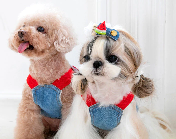 Denim Dog Overalls with Matching Hat - Adorable and Comfortable Pet Outfit - Image 11