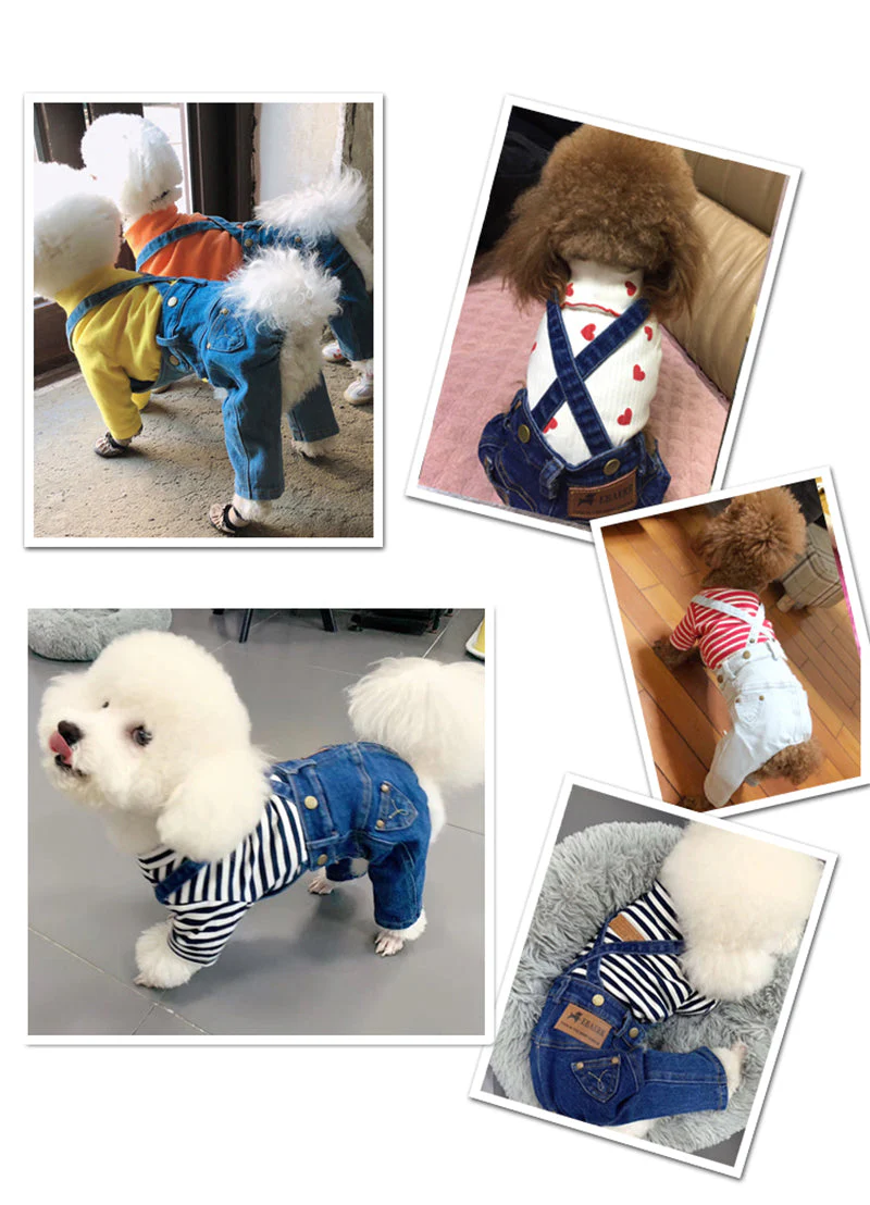 Denim Jumpsuit for Small Pets - Image 7