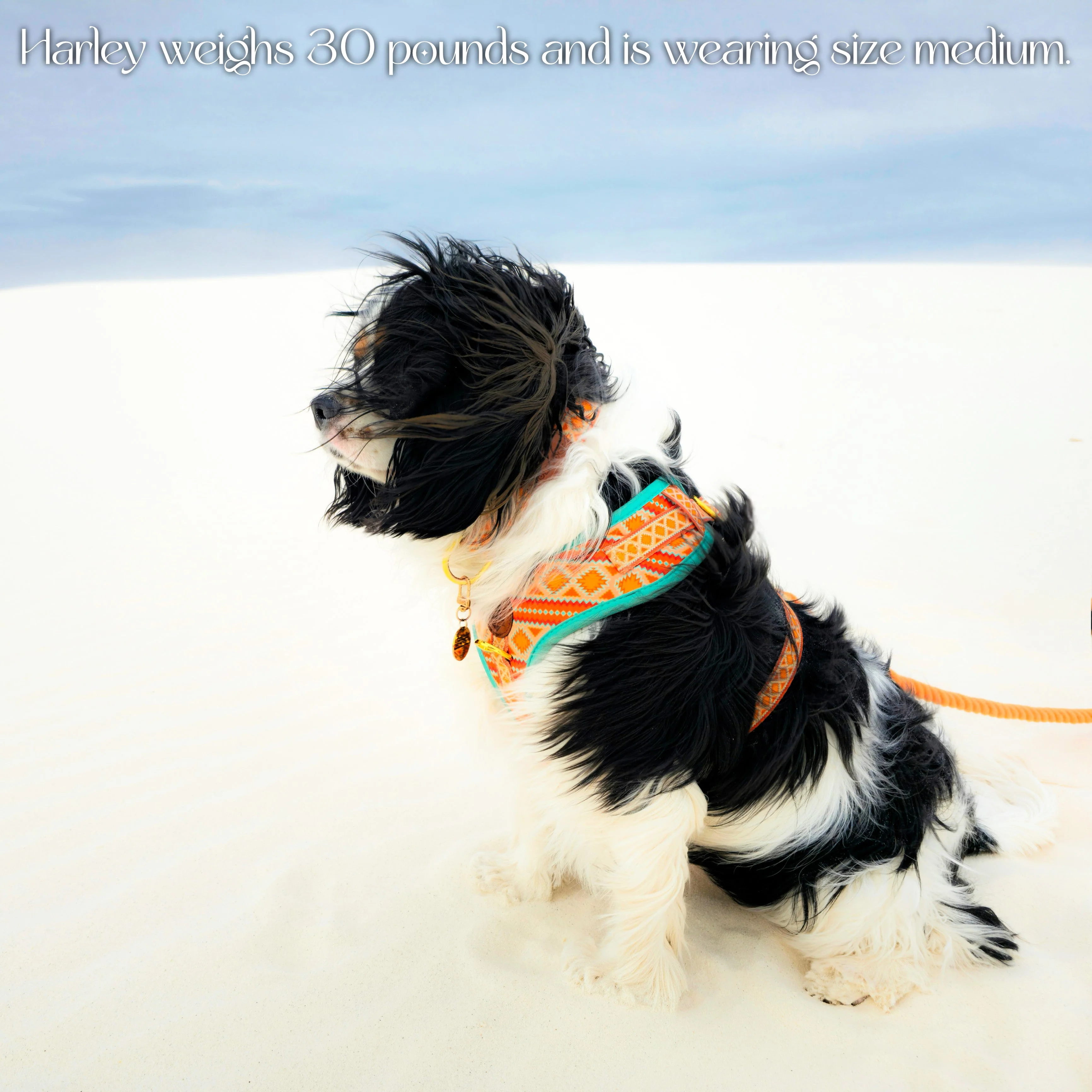 Desert Dream Harness - Image 5