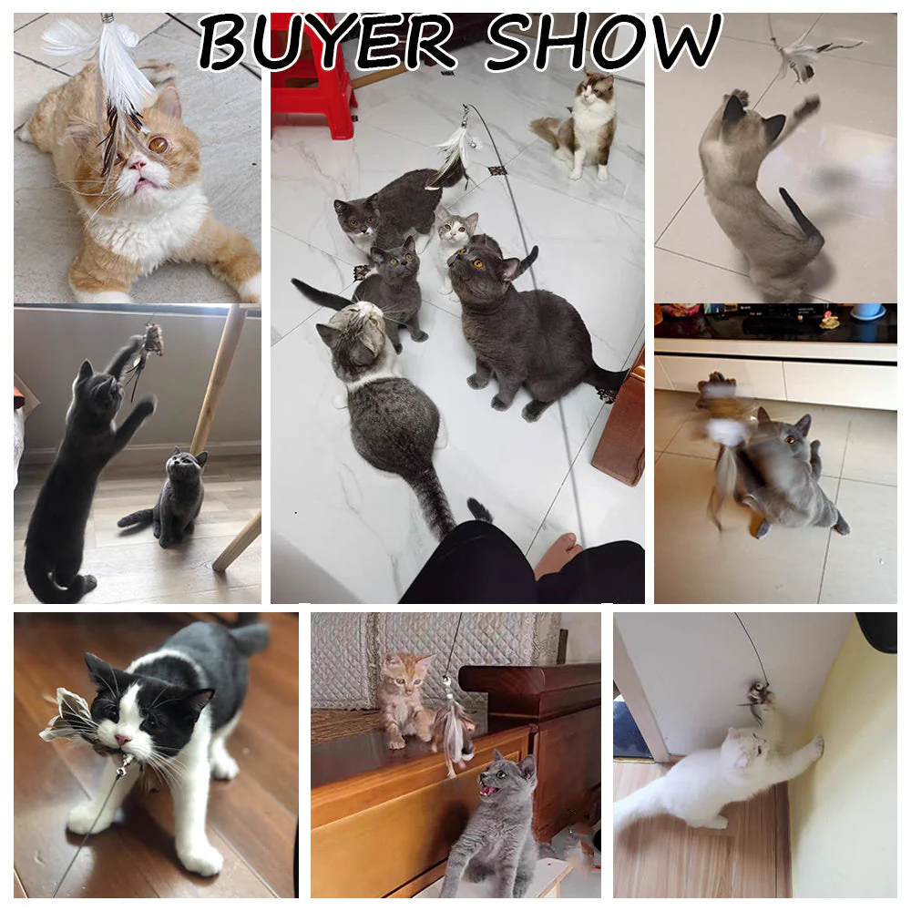 Detachable Wire Rod Sucker Cat Stick - Image 5