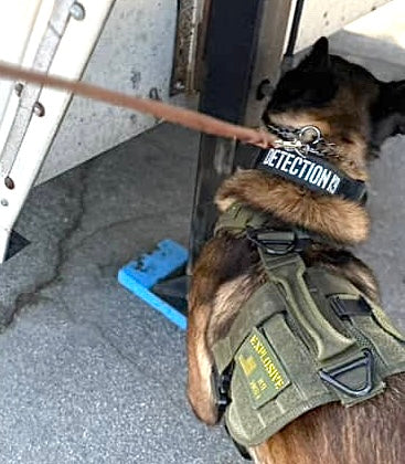 Detection K9 Laser Cut Reflective Morale Patch - Image 3