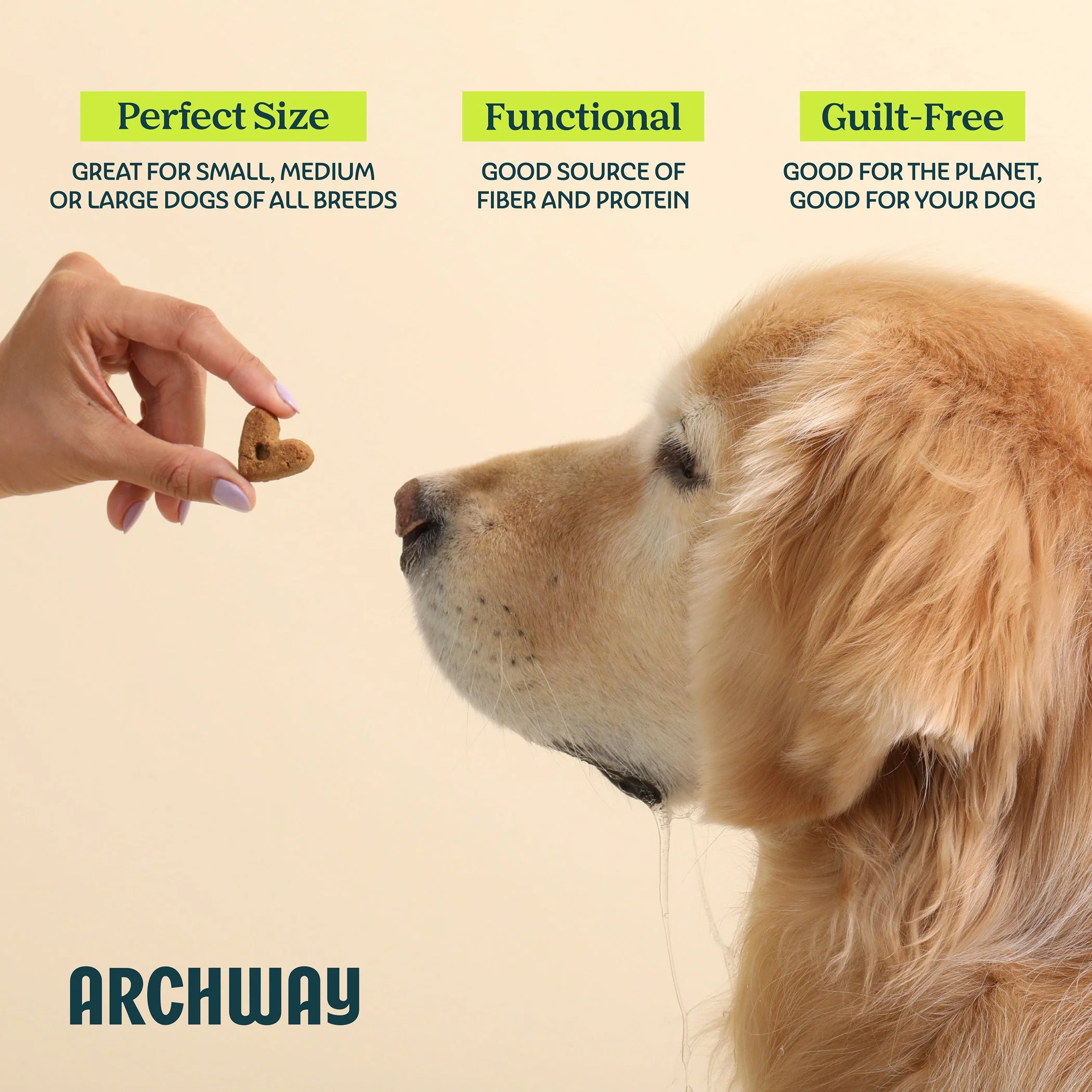 Digestive Health - Image 7