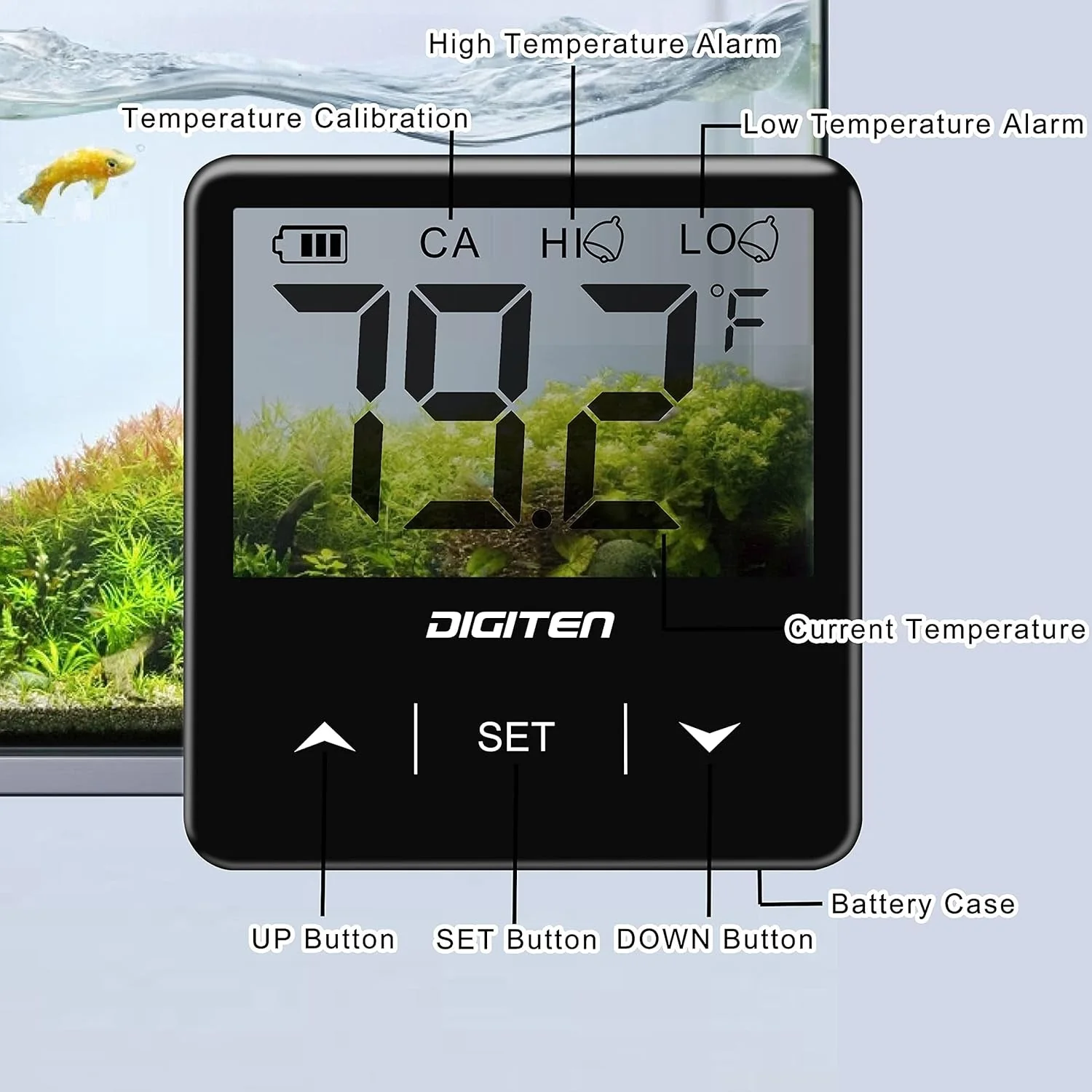 Digital Aquarium Thermometer - Image 2