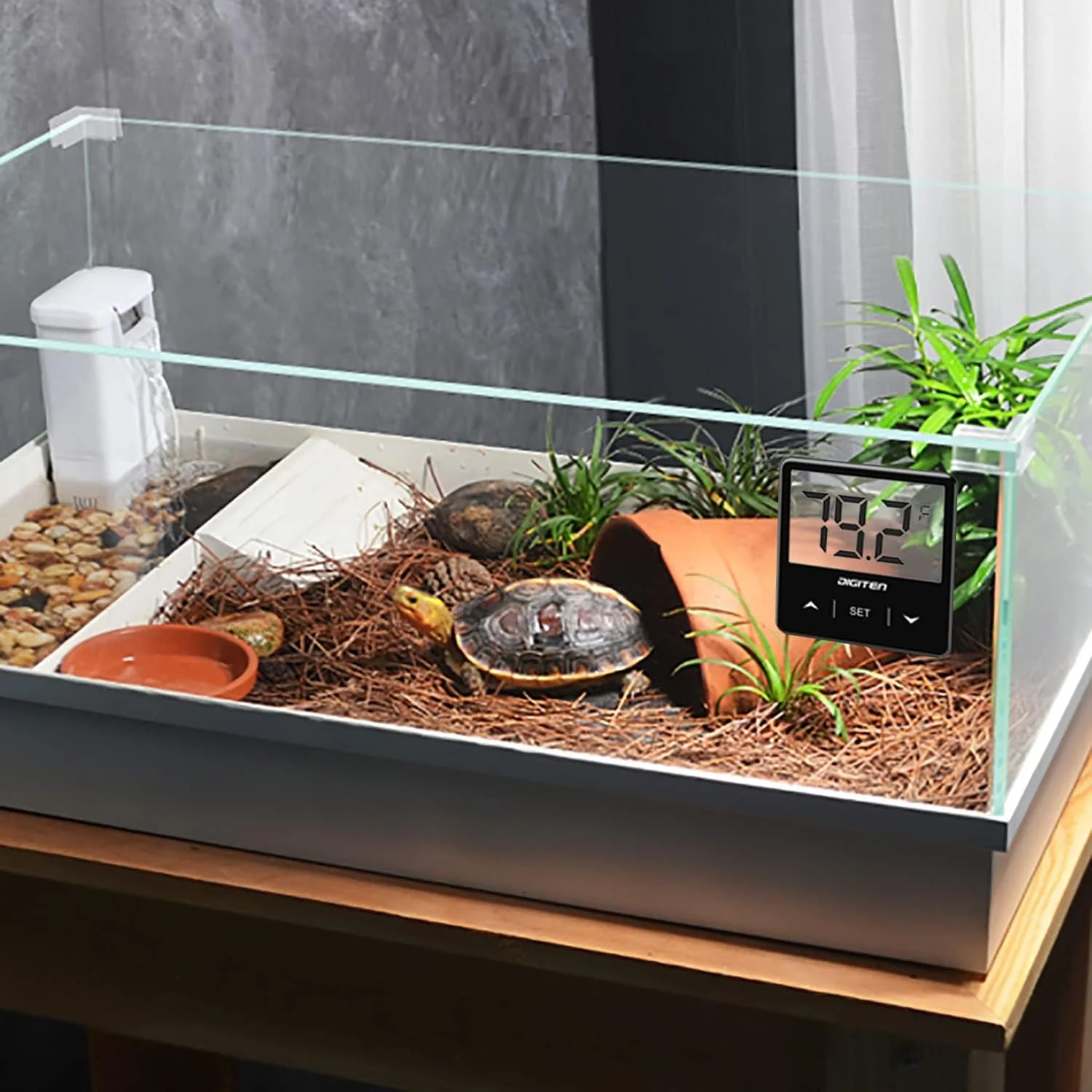 Digital Aquarium Thermometer - Image 7